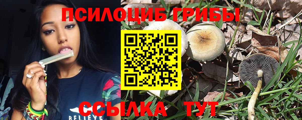Псилоцибиновые грибы прущие грибы Выкса