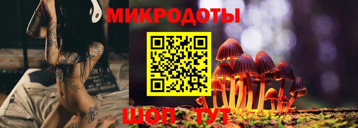 Псилоцибиновые грибы Psilocybine cubensis  Вход с VPN  Галлюциногенные грибы MAGIC MUSHROOMS  наркошоп  Выкса 